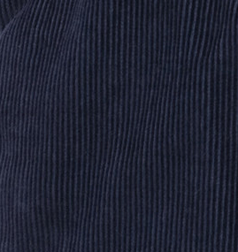 Corduroy