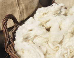 Wool